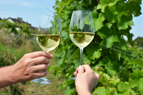 Pair of wineglasses — Stock Photo, Image