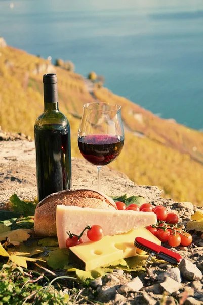 Vin och chese — Stockfoto