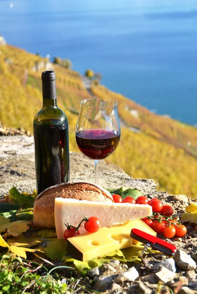 Vin och chese — Stockfoto