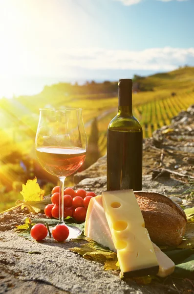 Wine and cheese — Stock Photo, Image