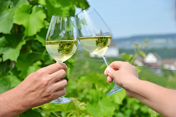 Coppia di bicchieri da vino — Foto Stock