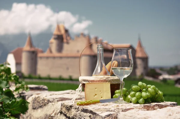 Vino y uvas — Foto de Stock