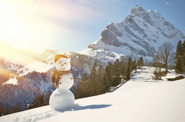 Hombre de nieve — Foto de Stock