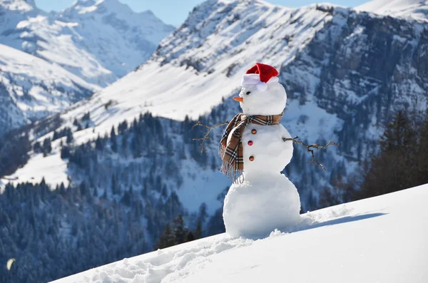 Pupazzo di neve — Foto Stock