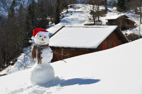 Hombre de nieve — Foto de Stock