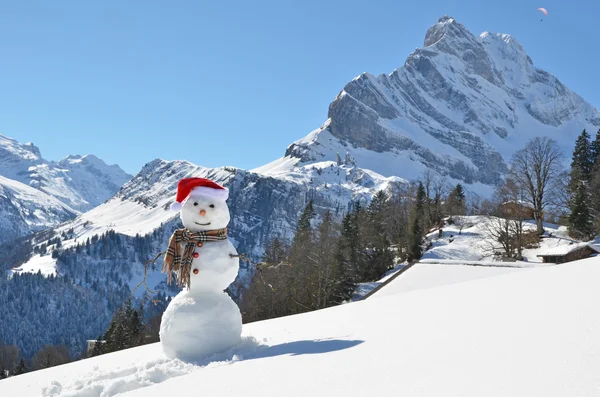 Schneemann — Stockfoto