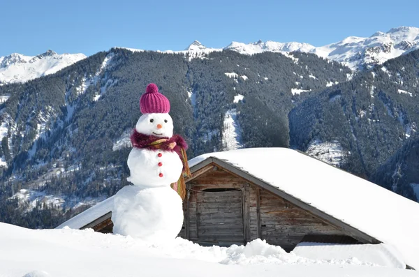 Snögubbe — Stockfoto