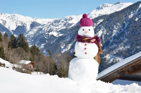 Hombre de nieve — Foto de Stock