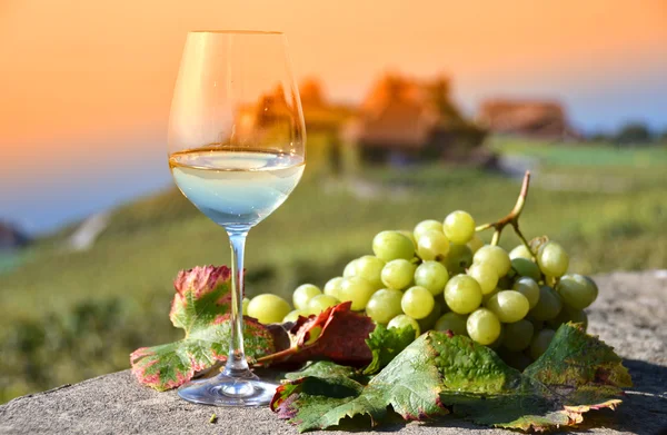 Wine and grapes in Switzerland — Stock Photo, Image