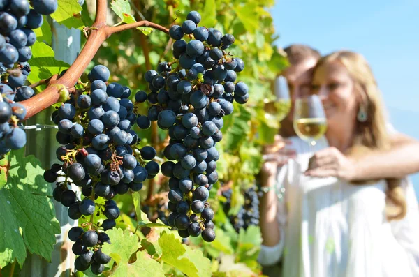 Coppia occhiali in Lavaux — Foto Stock