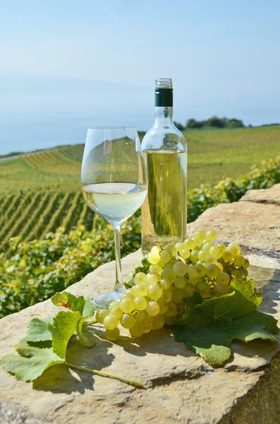 Şarap ve üzüm İsviçre — Stok fotoğraf