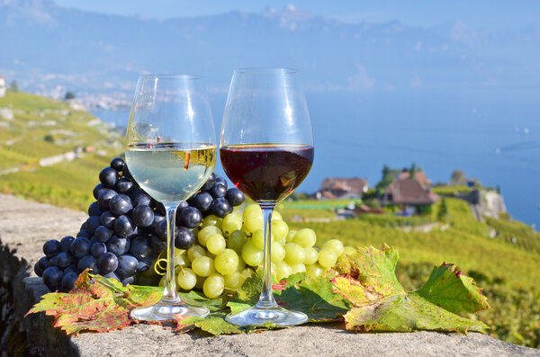 Wine and grapes in Switzerland