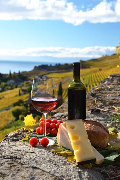 Rode wijn, kaas in Zwitserland — Stockfoto
