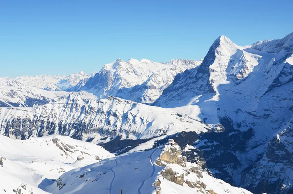 希尔特峰，瑞士的顶部 — 图库照片