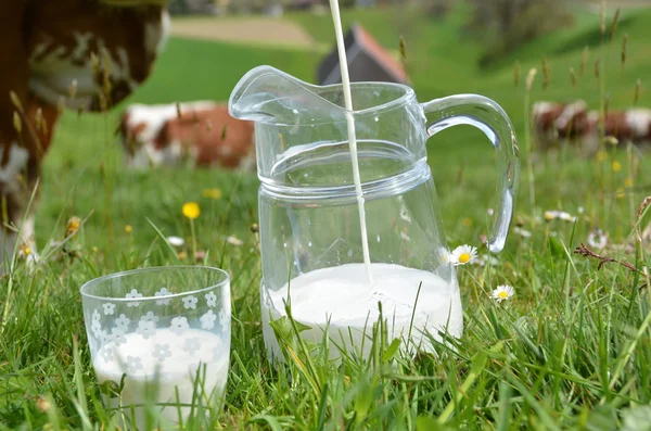 Latte e vacche in Svizzera — Foto Stock