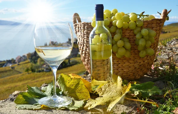 Wine and grapes at Switzerland — Stock Photo, Image