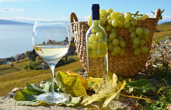 Wine and grapes at Switzerland — Stock Photo, Image