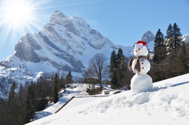 sneeuwpop tegen Alpenpanorama.