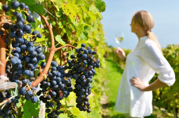 Frau in den Weinbergen von Lavaux — Stockfoto