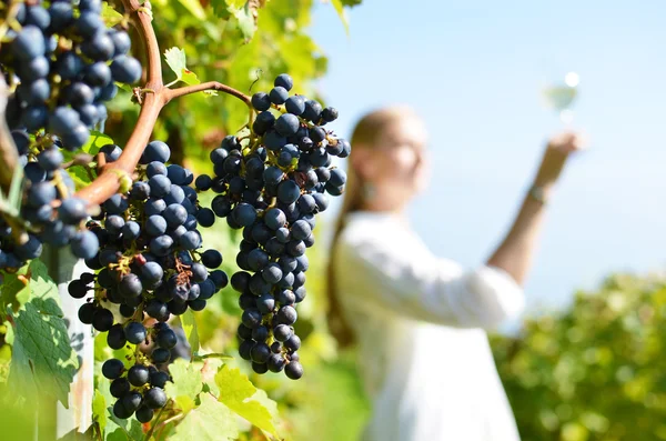 Frau in den Weinbergen von Lavaux — Stockfoto