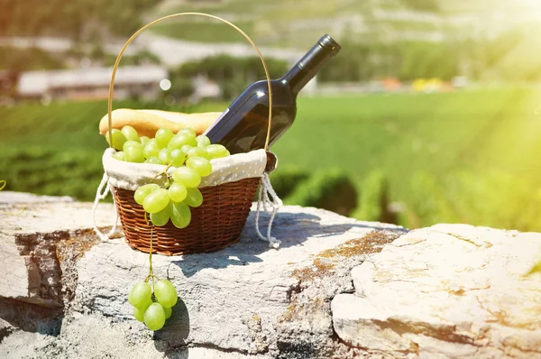 Vino y uvas — Foto de Stock