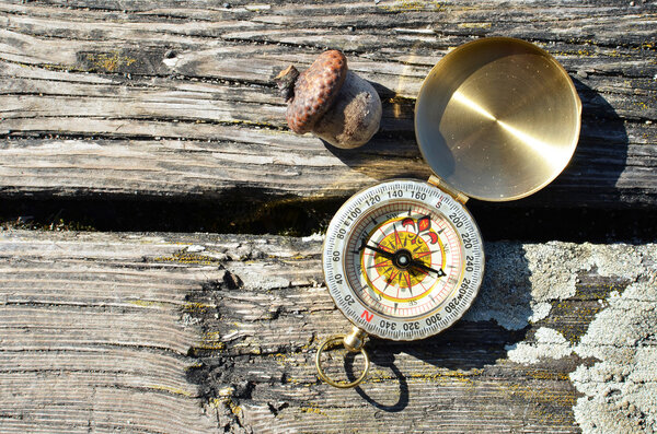 Компас на заднем плане
