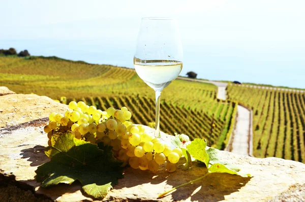 Wine and grapes in Switzerland — Stock Photo, Image