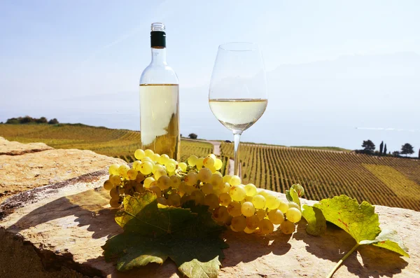 ワインとスイスのブドウ — ストック写真