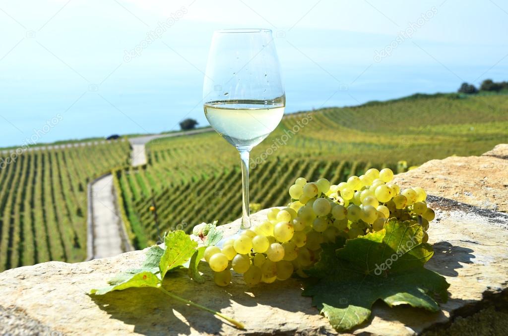Wine and grapes in Switzerland