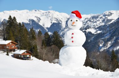 sneeuwpop tegen Alpenpanorama