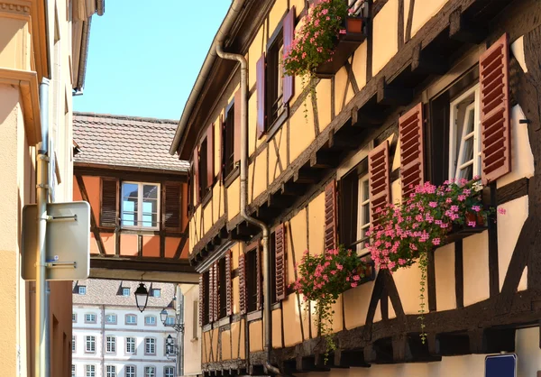 Traditional French houses in Colmar — Stock Photo, Image