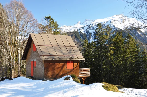 Frühling in Braunwald — Stockfoto