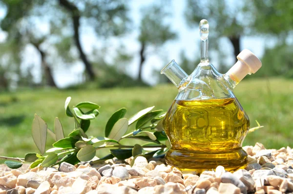 Una bottiglia di olio d'oliva. Sirmione, Italia — Foto Stock