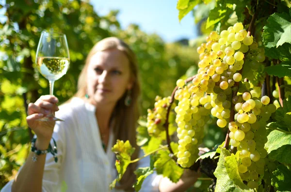 Mulher em uvas maduras — Fotografia de Stock