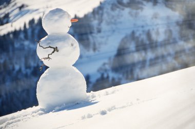 sneeuwpop tegen Alpenpanorama 