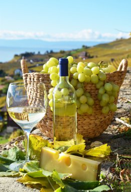 şarap ve üzüm. Lavaux bölge, İsviçre 