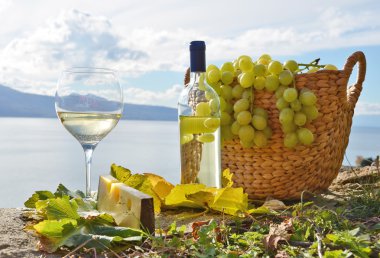 şarap ve üzüm. Lavaux bölge, İsviçre 