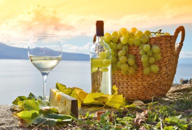 şarap ve üzüm. Lavaux bölge, İsviçre 