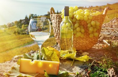 şarap ve üzüm. Lavaux bölge, İsviçre 