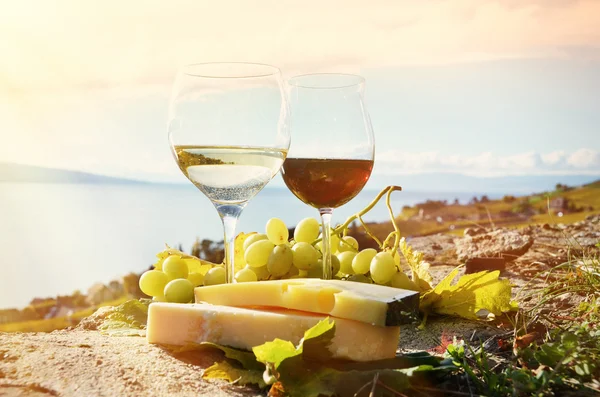 Wine and grapes. Lavaux region, Switzerland — Stock Photo, Image