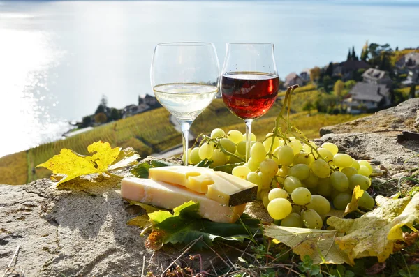 Wein und Trauben. lavaux region, Schweiz — Stockfoto