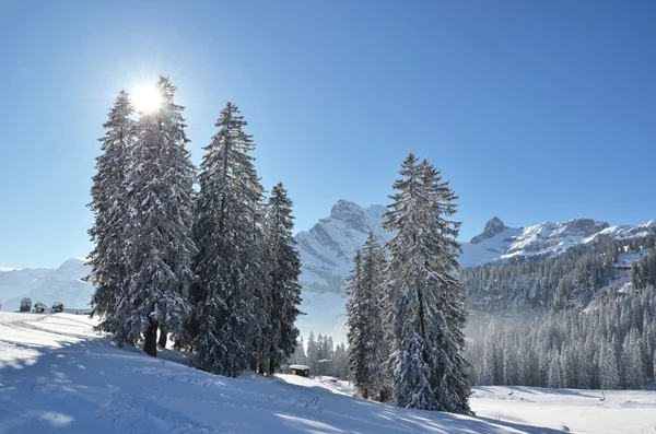 Зима в Браунвальд, Швейцарія — стокове фото