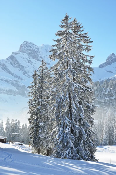 Vinter i Braunwald, Schweiz — Stockfoto