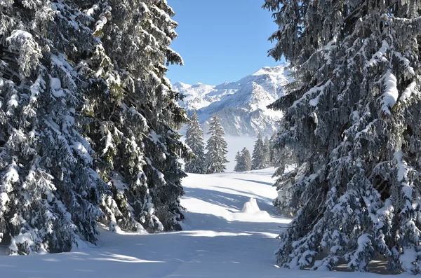 Inverno em Braunwald, Suíça — Fotografia de Stock