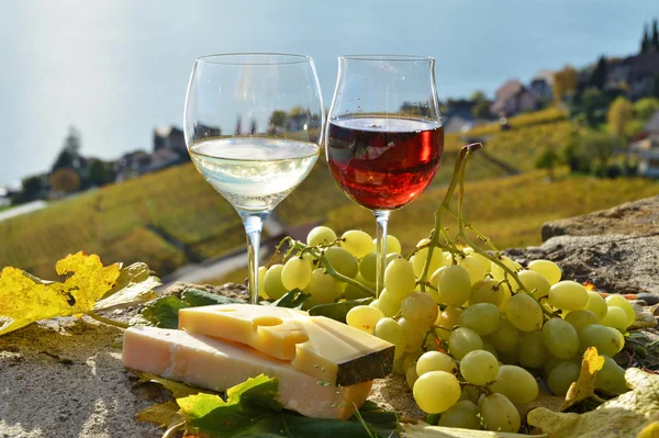 红酒和奶酪在瑞士 — 图库照片