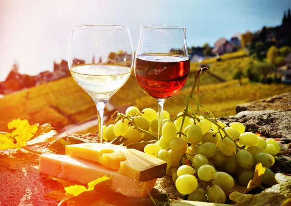 Wine and cheese in Switzerland — Stock Photo, Image