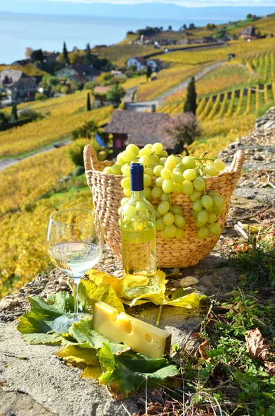 Vino y uvas en Suiza — Foto de Stock