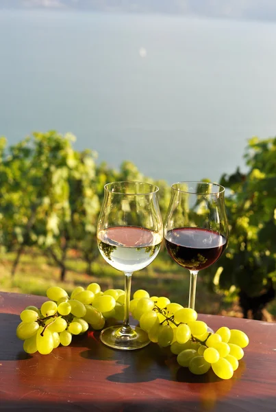 Wine and grapes in Switzerland — Stock Photo, Image