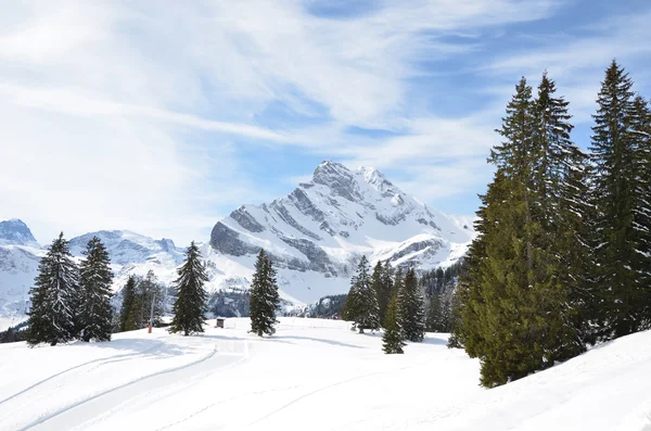 Alpine Landschaft in Braunwald — Stockfoto