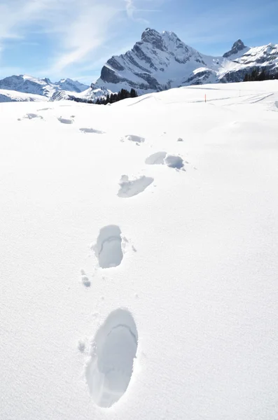 Fotspår på snö i schweiziska Alperna — Stockfoto